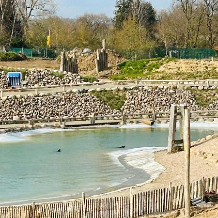 Kuestenbude Robbe Grömitz Esterno foto