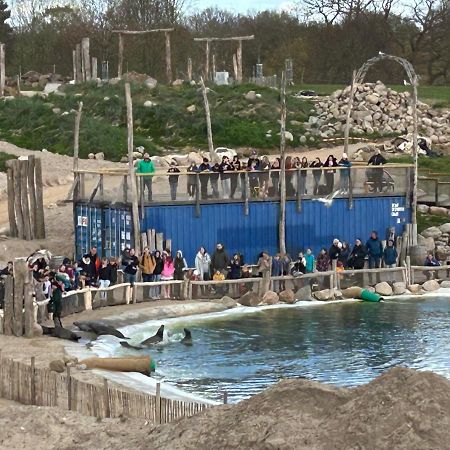 Kuestenbude Robbe Grömitz Esterno foto