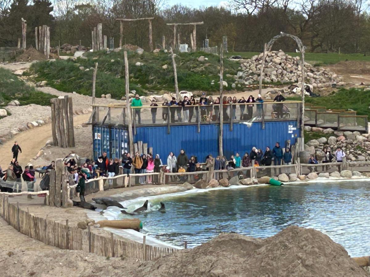 Kuestenbude Robbe Grömitz Esterno foto